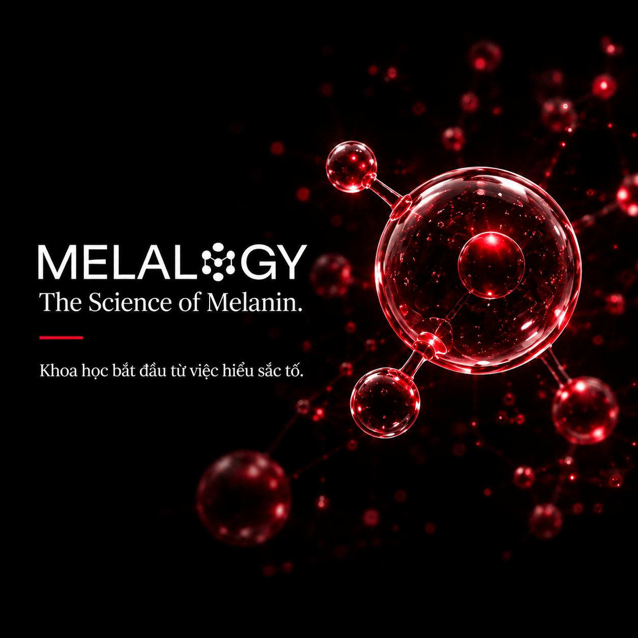 MELALOGY — The Science of Melanin. Khoa học bắt đầu từ việc hiểu sắc tố.